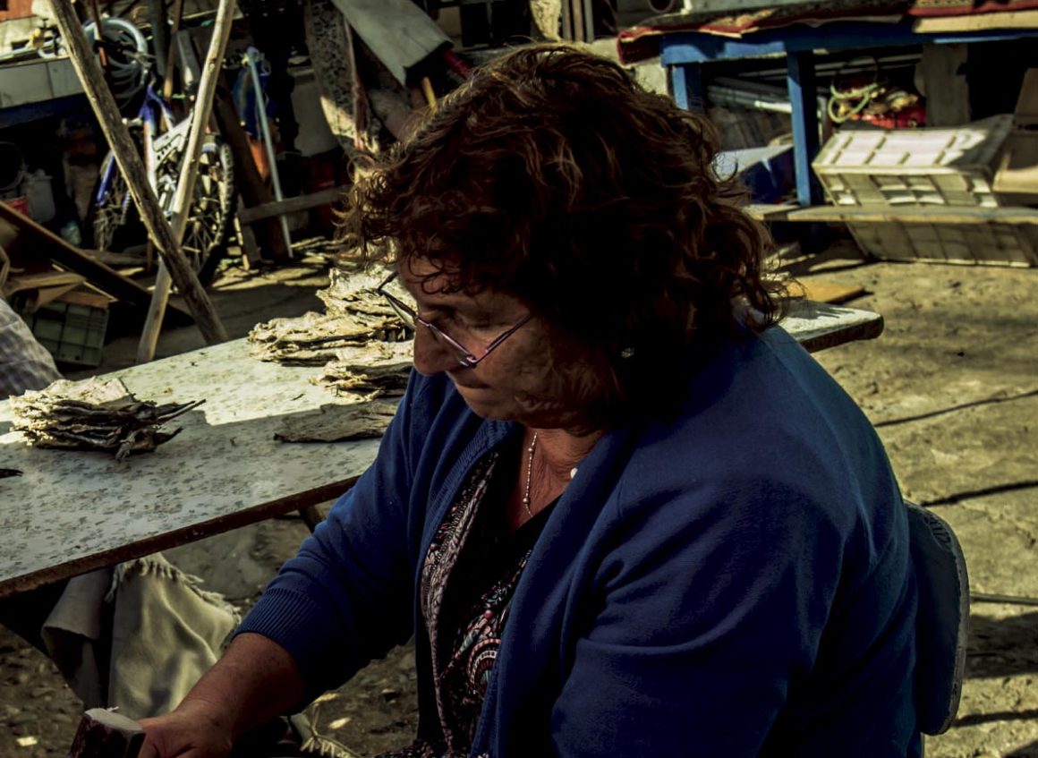 Equipo Multidisciplinario de CIET-LR elabora propuesta de Registro Nacional de Actividades Conexas (RNAC) para la pesca artesanal.