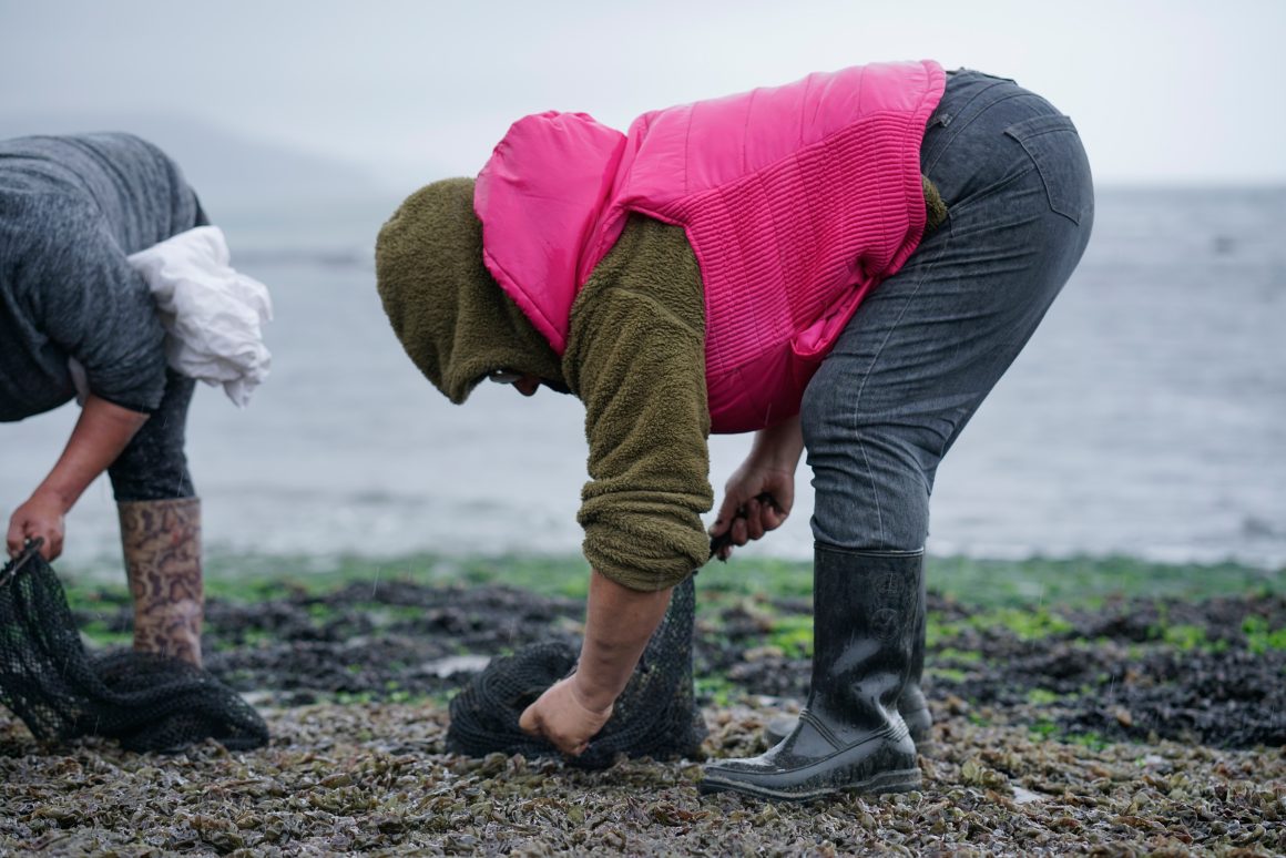 COLUMNA DE OPINIÓN: Seguridad alimentaria y equidad de género: La importancia de reconocer la “alguería” en la Nueva Ley de Pesca COLUMNA DE OPINIÓN: Seguridad alimentaria y equidad de género: La importancia de reconocer la “alguería” en la Nueva Ley de Pesca