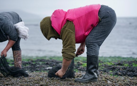 COLUMNA DE OPINIÓN: Seguridad alimentaria y equidad de género: La importancia de reconocer la “alguería” en la Nueva Ley de Pesca